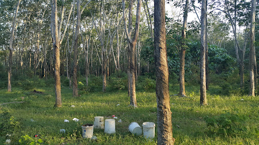 Sun Bridge Enterprise