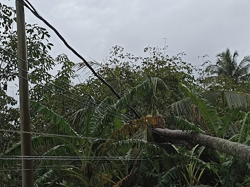 Sabah Electricity Sdn Bhd (SESB) Kudat Region